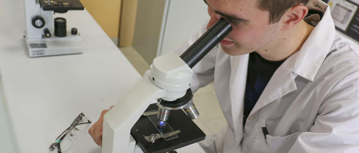 Liceo Scientifico Scienze applicate - Scuole dei Salesiani Milano