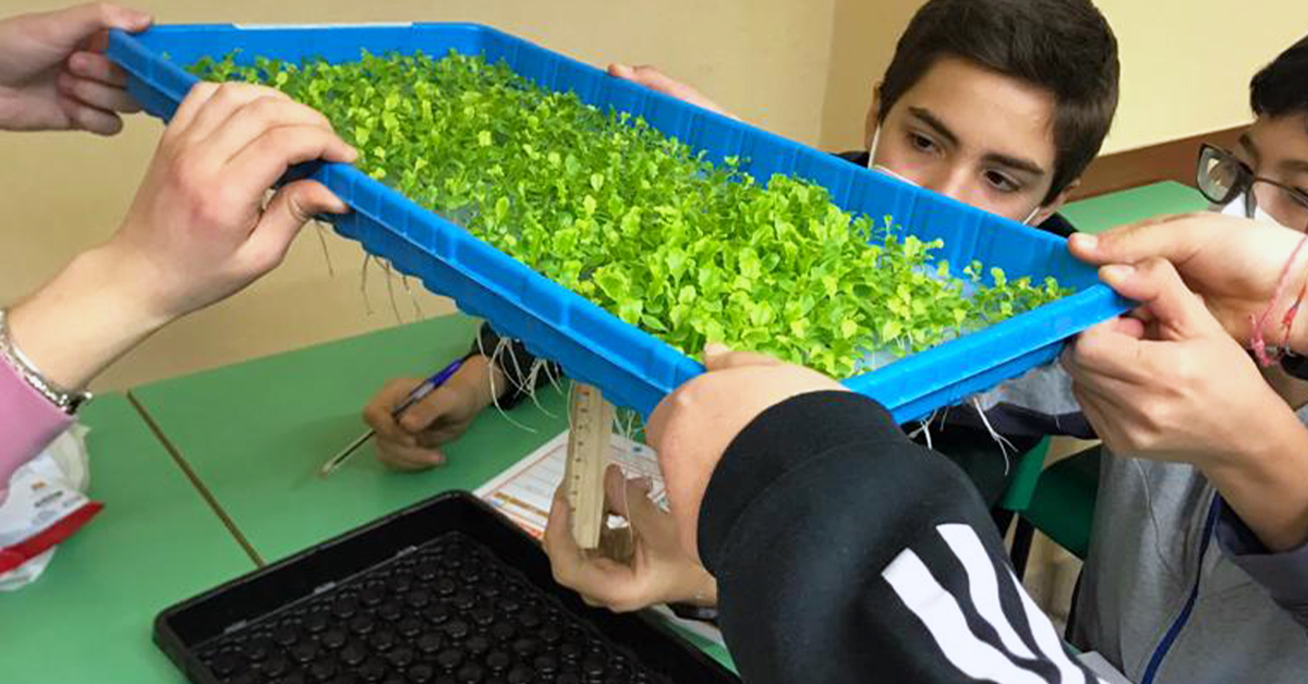 Esselunga porta il vertical farming a scuola - Salesiani Milano