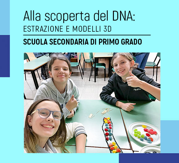 Modelli 3D del DNA - Salesiani Milano